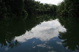 Picture217.jpg